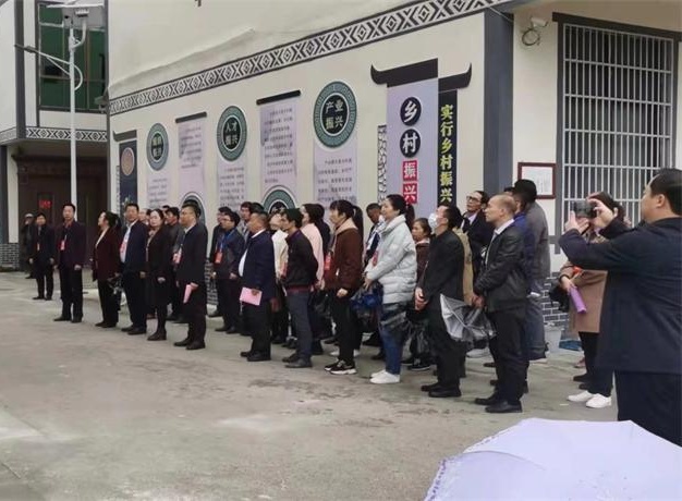 廣西兩高沿線鄉(xiāng)村風(fēng)貌工程巴馬縣城改造項(xiàng)目選用金洋水性平涂